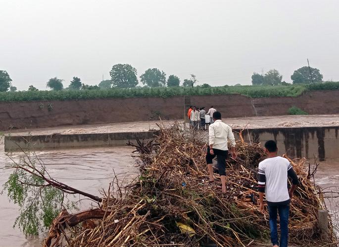 Average rainfall average: | पावसाची सरासरी शंभरीकडे.. Average rainfall average: | पावसाची सरासरी शंभरीकडे..