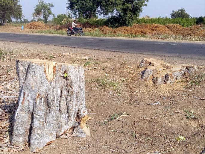 Trees cut on Jalna- Ambad road | जालना-अंबड महामार्ग झाडांअभावी बोडखा Trees cut on Jalna- Ambad road | जालना-अंबड महामार्ग झाडांअभावी बोडखा