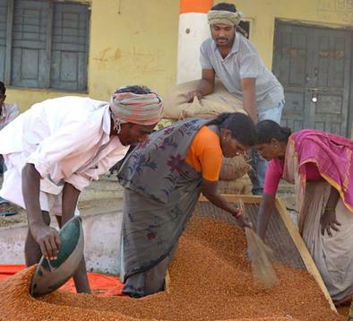 In the meantime, purchase of one and a half crore rupees | परतुरात अडीच कोटी रुपयांची तूर खरेदी In the meantime, purchase of one and a half crore rupees | परतुरात अडीच कोटी रुपयांची तूर खरेदी