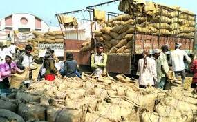 Decline in summer onion arrivals in Yeola | येवल्यात उन्हाळ कांदा आवकेत घट Decline in summer onion arrivals in Yeola | येवल्यात उन्हाळ कांदा आवकेत घट