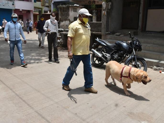 Strong opener of thieves on the first night of the lockdown | लॉकडाऊनच्या पहिल्याच रात्री चोरट्यांची जोरदार सलामी Strong opener of thieves on the first night of the lockdown | लॉकडाऊनच्या पहिल्याच रात्री चोरट्यांची जोरदार सलामी