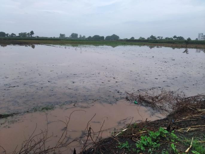 Niphad relieves farmers | निफाडला शेतकऱ्यांना दिलासा Niphad relieves farmers | निफाडला शेतकऱ्यांना दिलासा