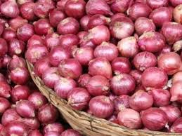 Onion prices fell by Rs 200 | कांद्याच्या भावात दोनशे रूपयांची घसरण Onion prices fell by Rs 200 | कांद्याच्या भावात दोनशे रूपयांची घसरण