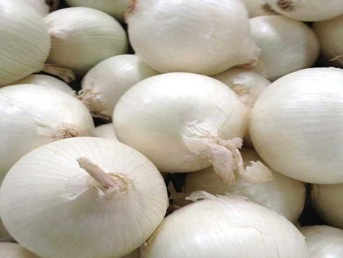 Seeds brought red onion, but ripe white onion | बियाणे आणले लाल कांद्याचे, मात्र पिकला पांढरा कांदा