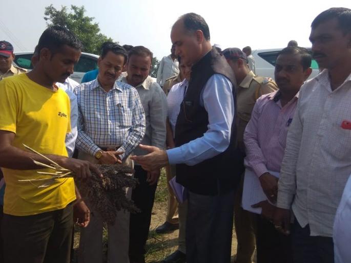 The farmers put up with the tragedy | शेतकऱ्यांनी पथकासमोर मांडल्या व्यथा The farmers put up with the tragedy | शेतकऱ्यांनी पथकासमोर मांडल्या व्यथा