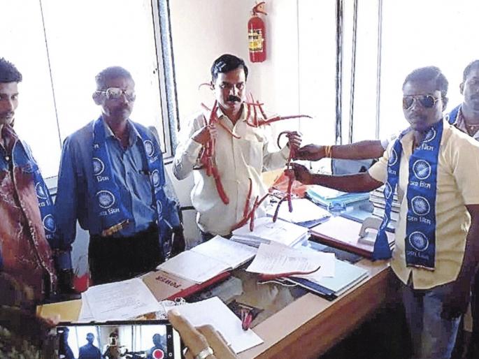 Gajra's necklace in Gramsewak's neck | ग्रामसेवकाच्या गळ्यात गाजराचा हार Gajra's necklace in Gramsewak's neck | ग्रामसेवकाच्या गळ्यात गाजराचा हार