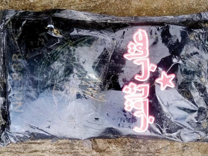 Sindhudurg: Suspicious wallet, security system present on Dandi coast | सिंधुदुर्ग : दांडी किनाऱ्यावर संशयास्पद पाकीट, सुरक्षा यंत्रणा हजर Sindhudurg: Suspicious wallet, security system present on Dandi coast | सिंधुदुर्ग : दांडी किनाऱ्यावर संशयास्पद पाकीट, सुरक्षा यंत्रणा हजर