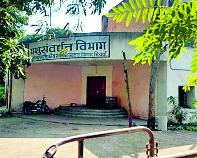 Order of inquiry of Animal Husbandry Assistant Commissioner | पशुसंवर्धन सहायक आयुक्ताच्या चौकशीचे आदेश Order of inquiry of Animal Husbandry Assistant Commissioner | पशुसंवर्धन सहायक आयुक्ताच्या चौकशीचे आदेश