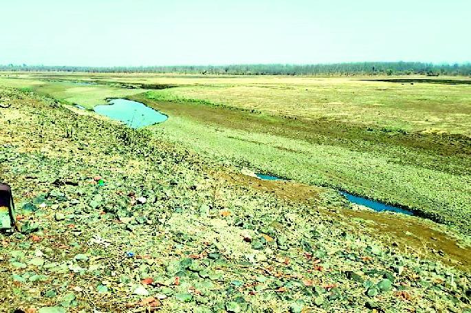 Oxygen reservoir of the district | जिल्ह्यातील जलाशय आॅक्सिजनवर Oxygen reservoir of the district | जिल्ह्यातील जलाशय आॅक्सिजनवर