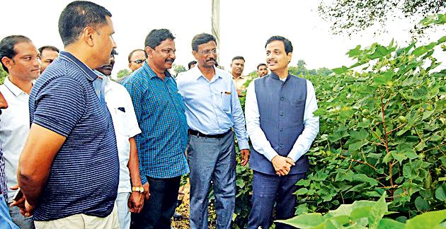 Survey of crops by the Home Minister | गृहराज्यमंत्र्यांकडून पिकांची पाहणी Survey of crops by the Home Minister | गृहराज्यमंत्र्यांकडून पिकांची पाहणी