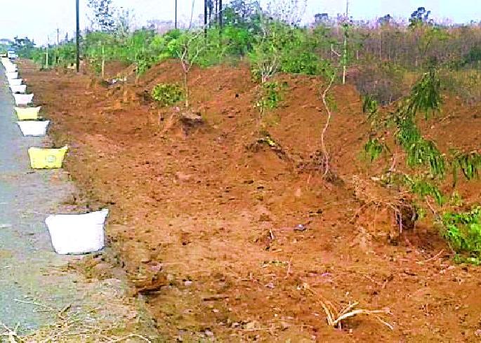 Millions of rupees in plantation | वृक्ष लागवडीवरील लाखो रुपये पाण्यात Millions of rupees in plantation | वृक्ष लागवडीवरील लाखो रुपये पाण्यात