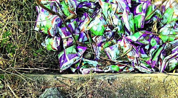 The disposal of hundreds of Bt's bottled Nalay disposal | बीटीच्या शेकडो पाकिटांची बोदड नाल्यात विल्हेवाट The disposal of hundreds of Bt's bottled Nalay disposal | बीटीच्या शेकडो पाकिटांची बोदड नाल्यात विल्हेवाट