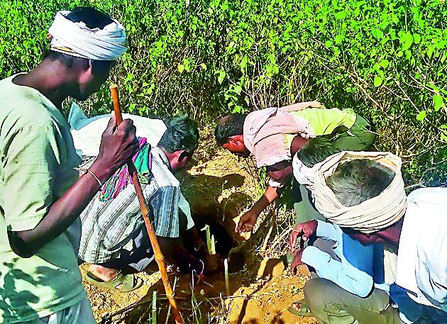 Searcher terrorists in the Valley of Tiger: Farmers, laborers, threatened demanding | वाघाचा दरीमध्ये शोध