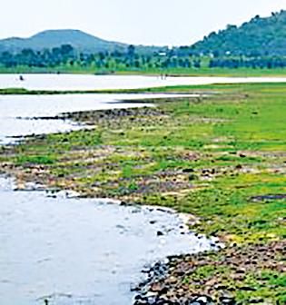 One middle, two small projects overflow | एक मध्यम, दोन लघु प्रकल्प ओव्हरफ्लो One middle, two small projects overflow | एक मध्यम, दोन लघु प्रकल्प ओव्हरफ्लो