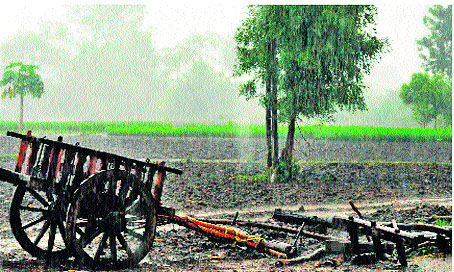 Read the farmers in the annual meeting | वार्षिक सभेकडे शेतकºयांची पाठ Read the farmers in the annual meeting | वार्षिक सभेकडे शेतकºयांची पाठ