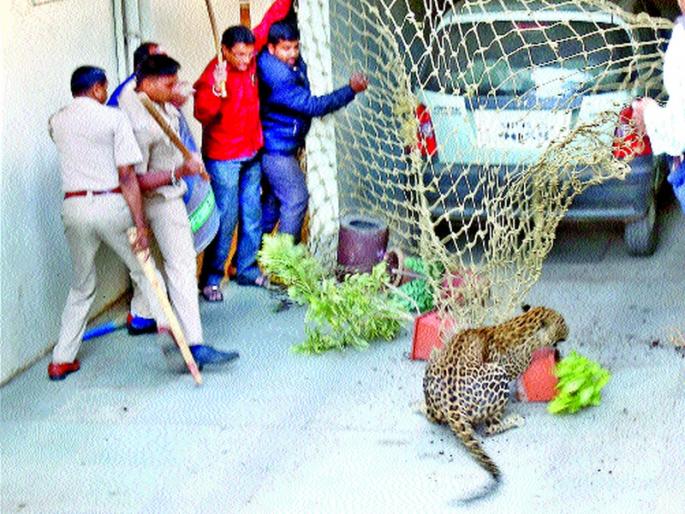  Savarkarnagar fires up ... | सावरकरनगरला उडाला थरकाप...