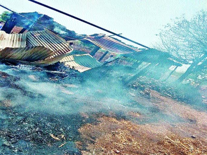 A fire flame of Gondagaala lake | गोंडेगावला सरोवर वस्तीवर झापास आग A fire flame of Gondagaala lake | गोंडेगावला सरोवर वस्तीवर झापास आग