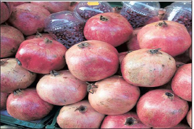 Due to increase in income, the pomegranate prices dropped | आवक वाढल्याने डाळिंबाचे दर घसरले Due to increase in income, the pomegranate prices dropped | आवक वाढल्याने डाळिंबाचे दर घसरले