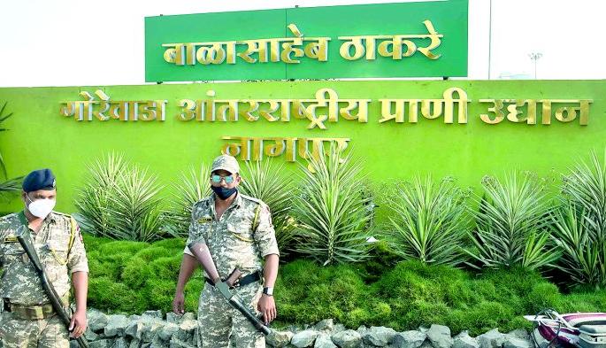 Gorewada International Zoo is ready for the inauguration | गोरेवाडा आंतराष्ट्रीय प्राणी उद्यान उद्घाटनासाठी सज्ज Gorewada International Zoo is ready for the inauguration | गोरेवाडा आंतराष्ट्रीय प्राणी उद्यान उद्घाटनासाठी सज्ज