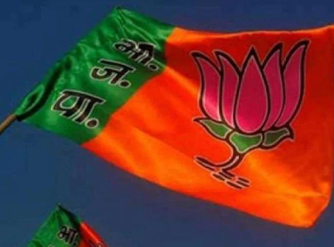 Nagpur election results; Why did BJP down the sub-capital? | नागपूर निवडणूक निकाल; उपराजधानीत भाजपला धक्के का बसले? Nagpur election results; Why did BJP down the sub-capital? | नागपूर निवडणूक निकाल; उपराजधानीत भाजपला धक्के का बसले?