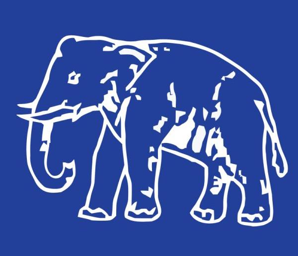 BSP weak because of internal fight | अंतर्गत लाथाड्यांमुळेच बसपा कमकुवत BSP weak because of internal fight | अंतर्गत लाथाड्यांमुळेच बसपा कमकुवत