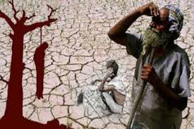 25 cases of farmer suicides eligible for help! | शेतकरी आत्महत्यांची २५ प्रकरणे मदतीसाठी पात्र! 25 cases of farmer suicides eligible for help! | शेतकरी आत्महत्यांची २५ प्रकरणे मदतीसाठी पात्र!