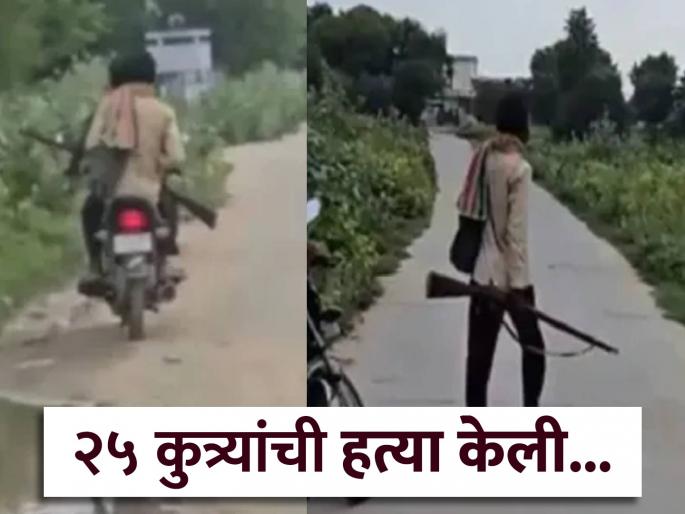 Shocking! Dogs killed a goat, in revenge the man shot 25 dogs | धक्कादायक! कुत्र्यांनी एका बकरीला मारले, बदला म्हणून त्या माणसाने २५ कुत्र्यांना गोळ्याच घातल्या