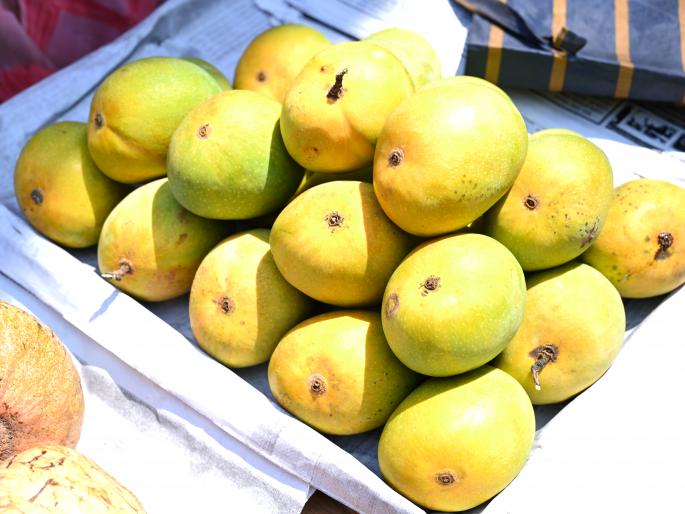 Curfew reduces customers; Mango prices have come down | संचारबंदीमुळे ग्राहक कमी; आंब्याचे दर आले आवाक्यात Curfew reduces customers; Mango prices have come down | संचारबंदीमुळे ग्राहक कमी; आंब्याचे दर आले आवाक्यात