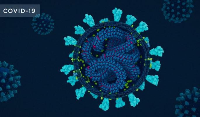 Corona in ZP, Collector, SP office in Gondia district | गोंदिया जिल्ह्यात झेडपी, कलेक्टर, एसपी ऑफिसमध्ये कोरोनाचा शिरकाव Corona in ZP, Collector, SP office in Gondia district | गोंदिया जिल्ह्यात झेडपी, कलेक्टर, एसपी ऑफिसमध्ये कोरोनाचा शिरकाव