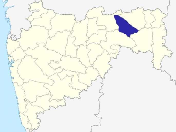 BJP gets big push in Vidarbha by winning lesser votes | विदर्भात कमी मताधिक्याच्या विजयाने भाजपला मोठा धक्का