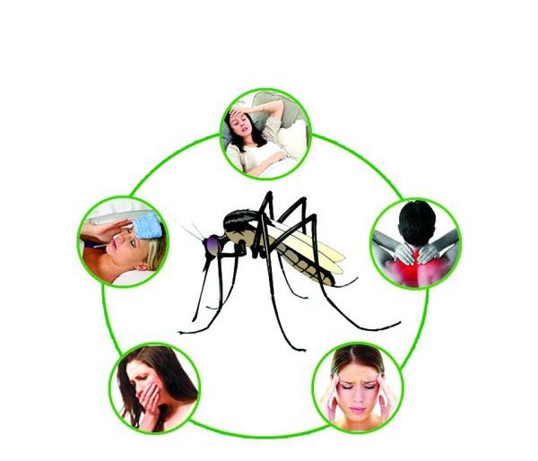 World Malaria Day: Most Patients of Malaria in Eastern Vidarbha | जागतिक मलेरिया दिवस: पूर्व विदर्भात मलेरियाचे सर्वाधिक रुग्ण World Malaria Day: Most Patients of Malaria in Eastern Vidarbha | जागतिक मलेरिया दिवस: पूर्व विदर्भात मलेरियाचे सर्वाधिक रुग्ण