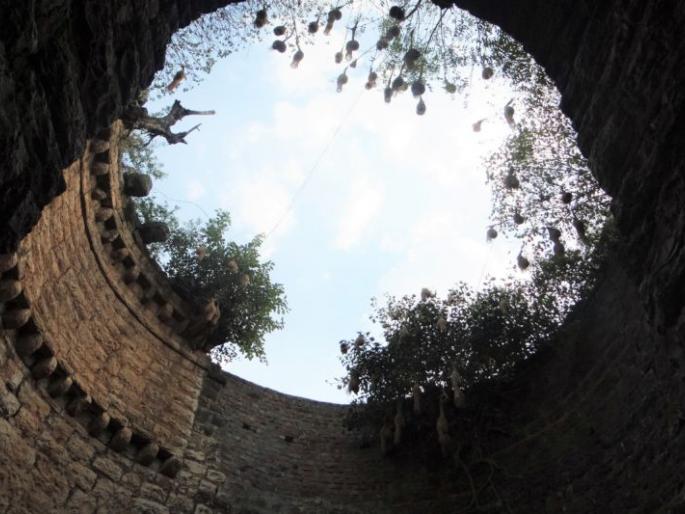 Thousands of projects in western Vidarbha thirsty! | पश्चिम विदर्भातील अनेक प्रकल्प तहानलेले! Thousands of projects in western Vidarbha thirsty! | पश्चिम विदर्भातील अनेक प्रकल्प तहानलेले!