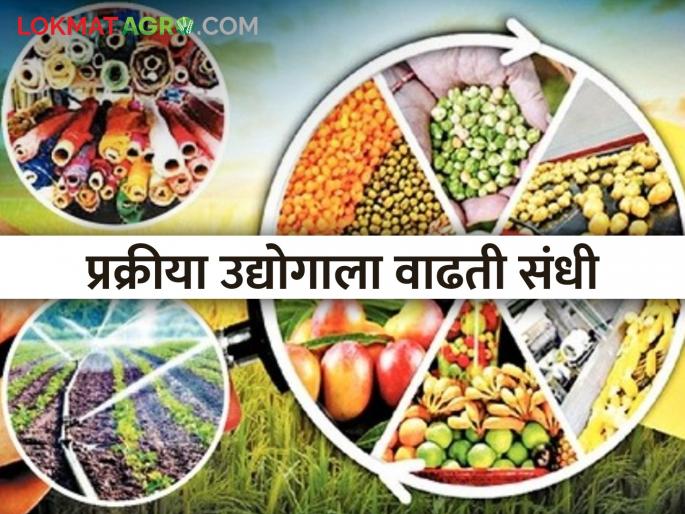 Want to do process industry in Marathwada? Business can be started in these areas including cotton. | मराठवाड्यात प्रक्रीया उद्योग करायचाय? कपाशीसह या क्षेत्रांमध्ये करता येईल व्यवसाय सुरु..