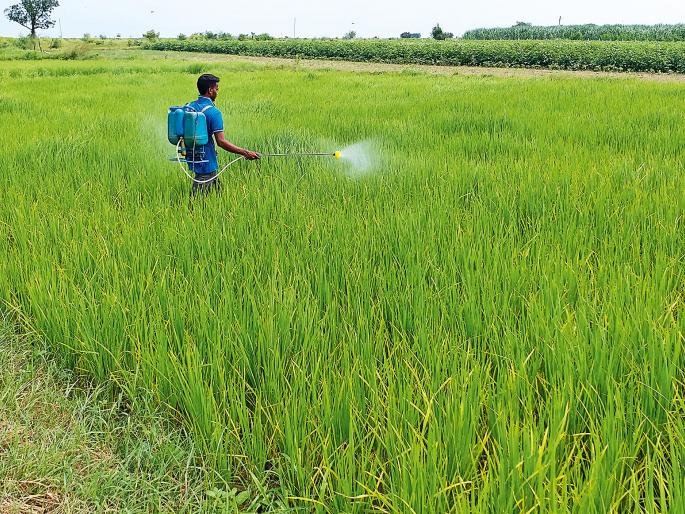 Fountain of life spray | फवारणीचा जीवघेणा फास Fountain of life spray | फवारणीचा जीवघेणा फास