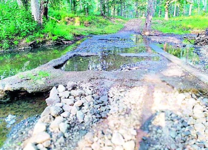 After 72 years in Melghat, it is still dark | मेळघाटात ७२ वर्षांनंतरही काळोख After 72 years in Melghat, it is still dark | मेळघाटात ७२ वर्षांनंतरही काळोख