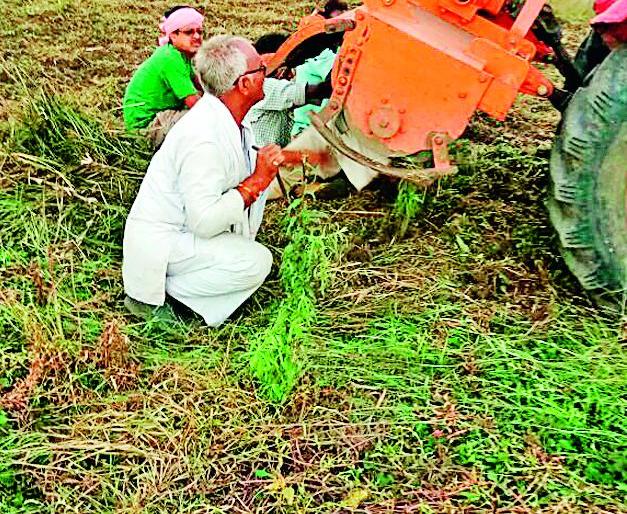 13 acres rotated on soybean tractor | १३ एकरांतील सोयाबीनवर फिरविला ट्रॅक्टर 13 acres rotated on soybean tractor | १३ एकरांतील सोयाबीनवर फिरविला ट्रॅक्टर