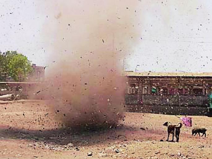 Whirlwind: Rotate the dogs with trash | वावटळ : कचऱ्यासह कुत्र्यांना गोल-गोल फिरवले