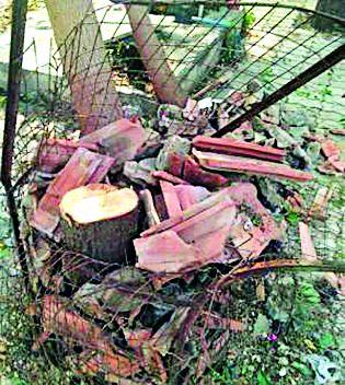 Chandni Chow money from forest section | वनविभागातूनच चंदनाची चोरी Chandni Chow money from forest section | वनविभागातूनच चंदनाची चोरी