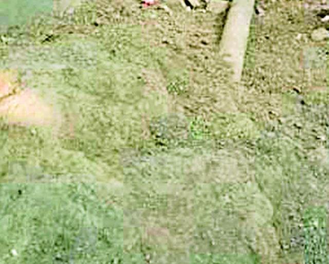 Overwhelming 108 years ago victory | १०८ वर्षांपूर्वीच्या विजयस्तंभाची अवहेलना