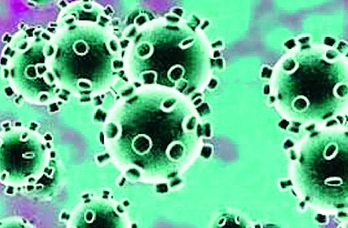 Healing rate increased than coronary heart disease | कोरोनाबाधितांपेक्षा बरे होण्याचे प्रमाण वाढले Healing rate increased than coronary heart disease | कोरोनाबाधितांपेक्षा बरे होण्याचे प्रमाण वाढले