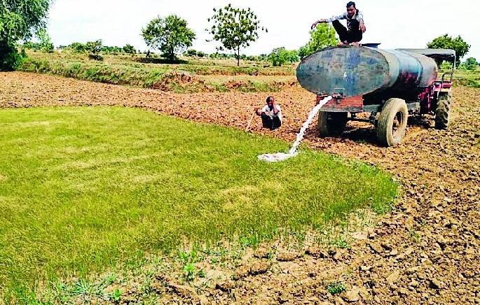 A rain of statements to declare a drought | दुष्काळ घोषित करण्यासाठी निवेदनांचा पाऊस A rain of statements to declare a drought | दुष्काळ घोषित करण्यासाठी निवेदनांचा पाऊस