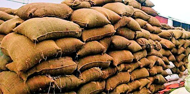 Suddenly rain rains | अवकाळी पावसाचा रबीला फटका Suddenly rain rains | अवकाळी पावसाचा रबीला फटका