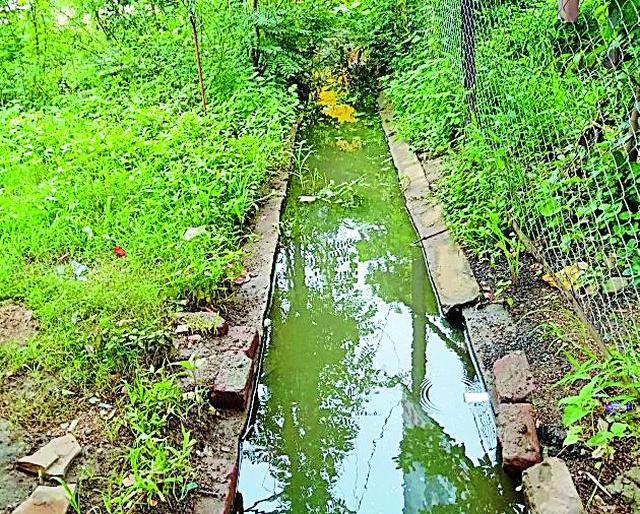 Collector Bungalow area was found to be dirty | जिल्हाधिकारी बंगला परिसराला घाणीचा विळखा Collector Bungalow area was found to be dirty | जिल्हाधिकारी बंगला परिसराला घाणीचा विळखा
