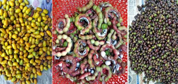 Lockdown has made Jungle food rare | लॉकडाऊनमुळे रानमेवा झाला दुर्लभ Lockdown has made Jungle food rare | लॉकडाऊनमुळे रानमेवा झाला दुर्लभ