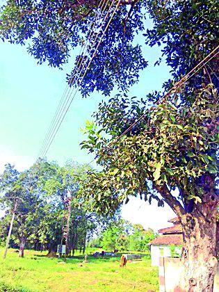 Life threatens the lives of passengers due to live electrical wires | जिवंत विद्युत तारांमुळे प्रवाशांचा जीव धोक्यात