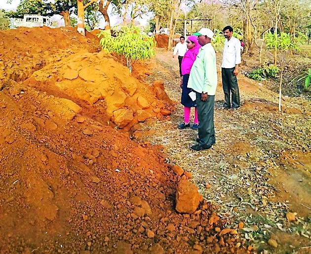 Social forestry plantation brood | सामाजिक वनीकरणाच्या झाडांवर कुऱ्हाड Social forestry plantation brood | सामाजिक वनीकरणाच्या झाडांवर कुऱ्हाड