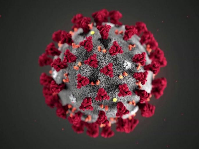 CoronaVirus InRatnagiri: The fifth victim of Corona in Ratnagiri district | CoronaVirus InRatnagiri : रत्नागिरी जिल्ह्यात कोरोनाचा पाचवा बळी