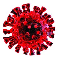 Corona patient dies at Sacora | साकोरा येथे कोरोनाबाधित रूग्णाचे निधन Corona patient dies at Sacora | साकोरा येथे कोरोनाबाधित रूग्णाचे निधन