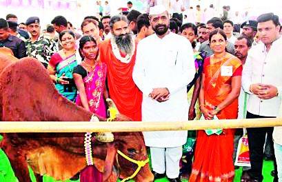 Distributed milk bags to the deceased farmer's family | मृत शेतकऱ्यांच्या परिवारास दुधाळू गार्इंचे वाटप