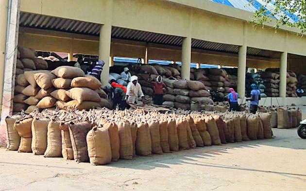 The arrivals of the board increased in the market | बाजार समितीत धानाची आवक वाढली The arrivals of the board increased in the market | बाजार समितीत धानाची आवक वाढली